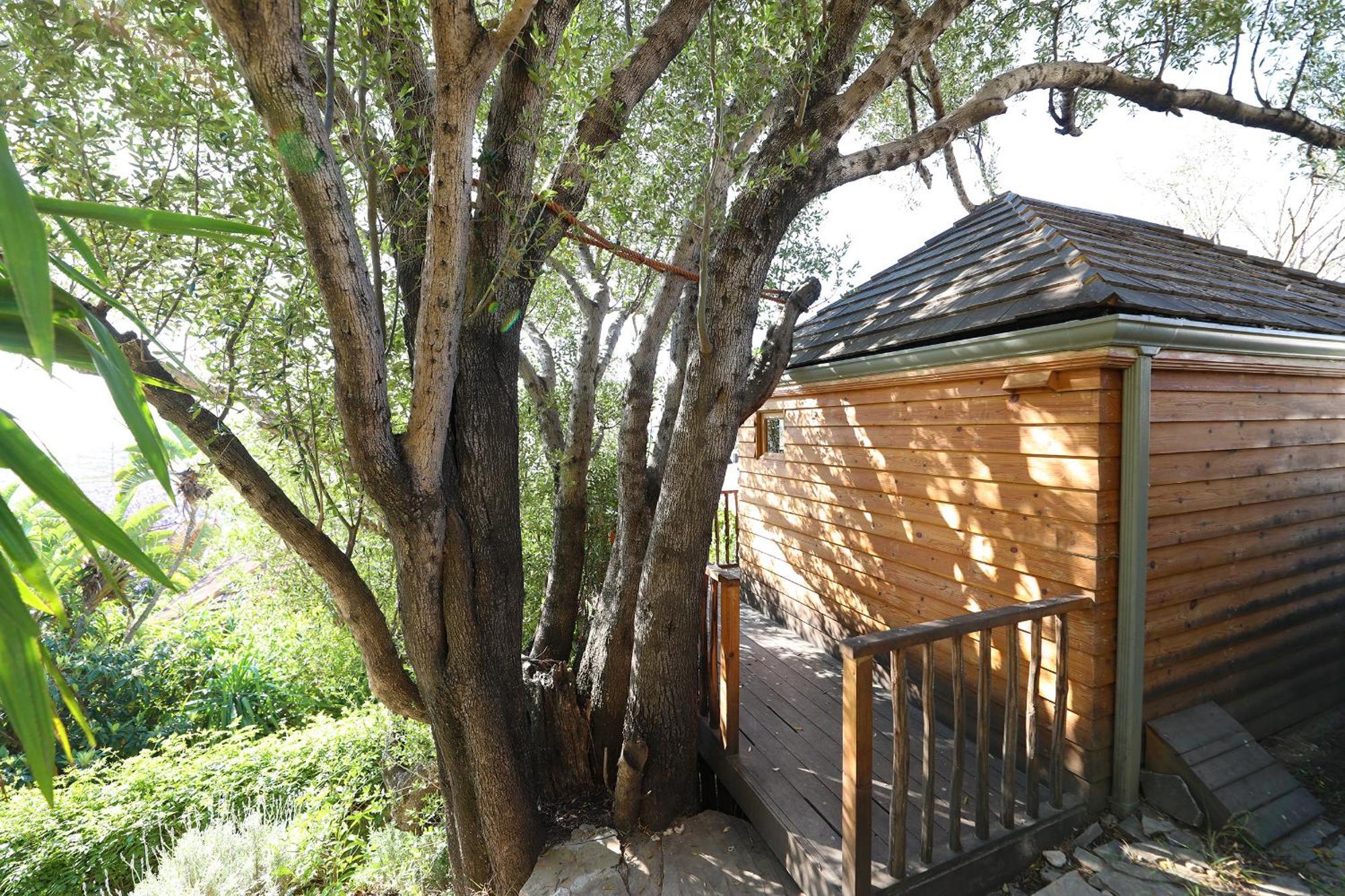 Mimi Calpe Bed and Breakfast Tanger Værelse billede